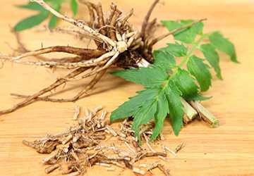 14 Health Benefits of Valerian Root