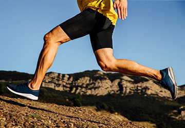 8 Types and Functions of Ligaments