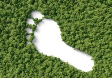 8 Tips for Sustainable Living and Reducing Your Carbon Footprint