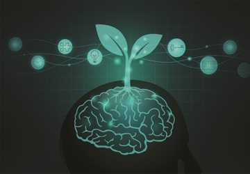 5 Things to Do to Cultivate a Growth Mindset for Success